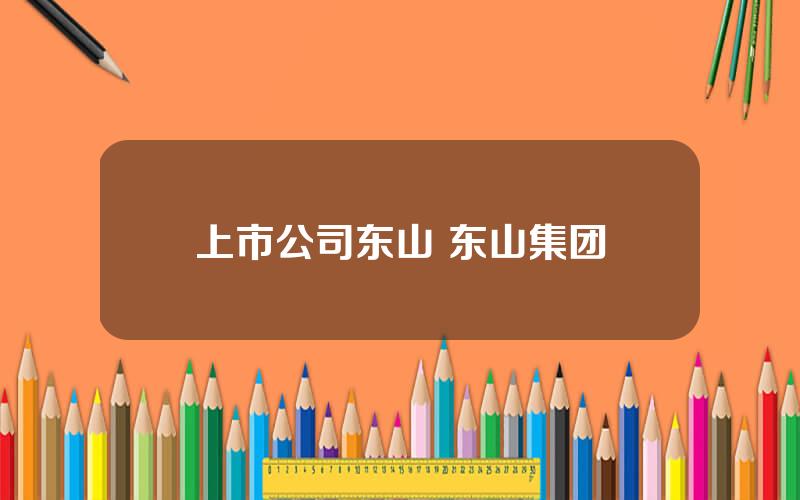 上市公司东山 东山集团